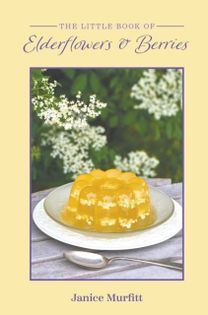 Little Book of Elderflowers and Berries