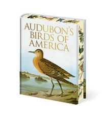 Audubon's Birds of America