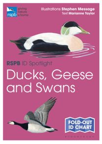 Rspb Id Spotlight - Ducks, Geese and Swans
