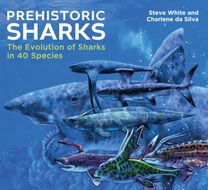 Prehistoric Sharks