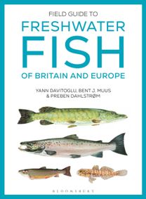 Field Guide to Freshwater Fish of Britain and Europe