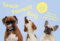 Teach Yourself Dog