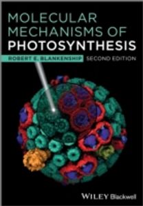 Molecular Mechanisms of Photosynthesis