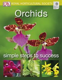 Orchids Orchids
