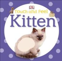Kitten