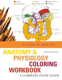 Human Anatomy and Physiology Human Anatomy and Physiology