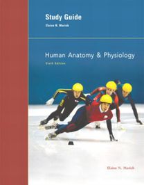 Human Anatomy and Physiology Human Anatomy and Physiology