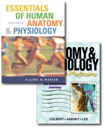 Essentials of Human Anatomy and Physiology Essentials of Human Anatomy and Physiology