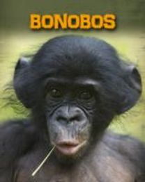 Bonobos
