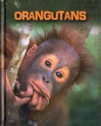 Living in the Wild: Primates: Living in the Wild: Primates