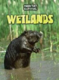 Wetlands