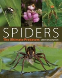 Spiders