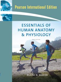 Essentials of Human Anatomy and Physiology Essentials of Human Anatomy and Physiology