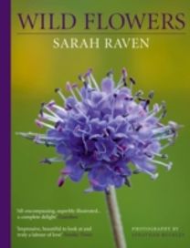 Sarah Raven's Wild Flowers