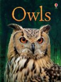 Owls