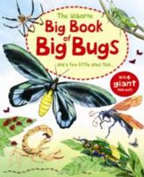 Big Book of Big Bugs