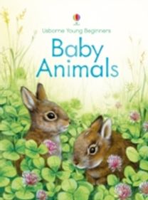 Baby Animals