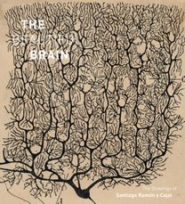 Beautiful Brain