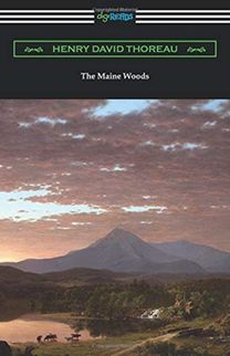 Maine Woods