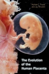 Evolution of the Human Placenta
