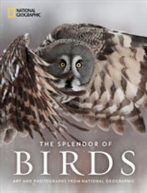 Splendor of Birds