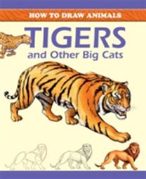 Tigers and Other Big Cats