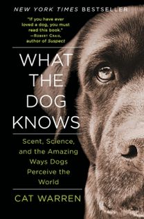 What the Dog Knows