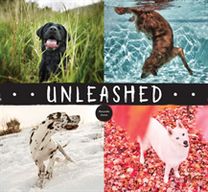 Unleashed Unleashed