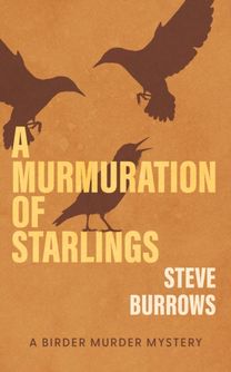 Murmuration of Starlings