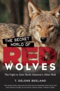 Secret World of Red Wolves