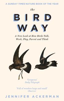 Bird Way