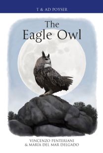 Eagle Owl