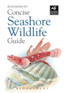 Concise Seashore Wildlife Guide