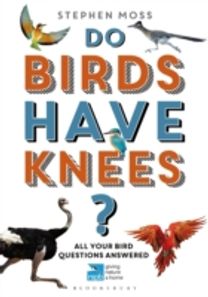 Do Birds have Knees?