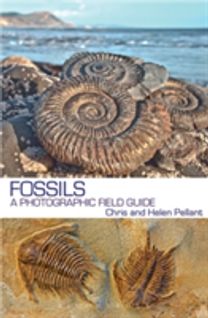 Fossils