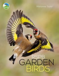 Rspb Garden Birds