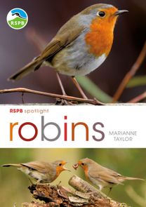 Rspb Spotlight: Robins