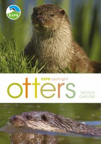 Rspb Spotlight: Otters