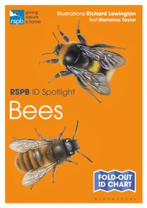 Rspb Id Spotlight - Bees