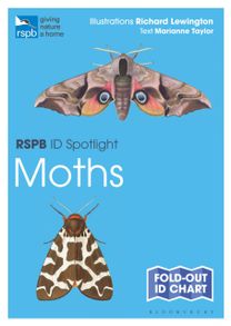 Rspb Id Spotlight - Moths