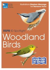 Rspb Id Spotlight - Woodland Birds