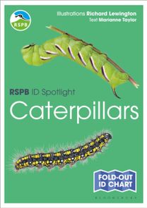 Rspb Id Spotlight - Caterpillars