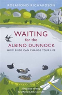 Waiting for the Albino Dunnock