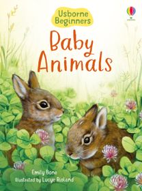 Baby Animals