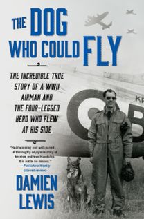 Dog Who could Fly