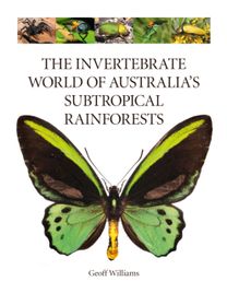 Invertebrate World of Australia's Subtropical Rainforests