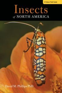 Insects of North America