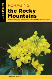 Foraging the Rocky Mountains