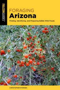 Foraging Arizona