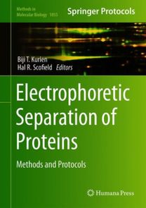 Electrophoretic Separation of Proteins Electrophoretic Separation of Proteins